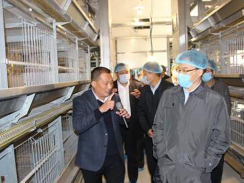 市政府副市長任慶虎帶領全市畜牧業綠色生態發展現場會與會人員到次邱鎮觀摩