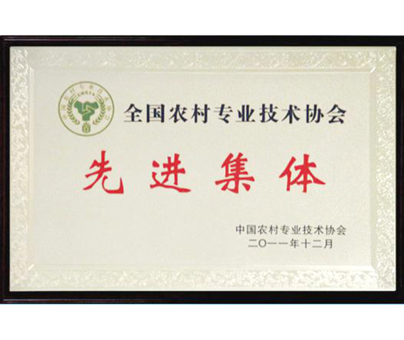 全國(guó)農(nóng)村技術(shù)協(xié)會(huì)先進(jìn)集體