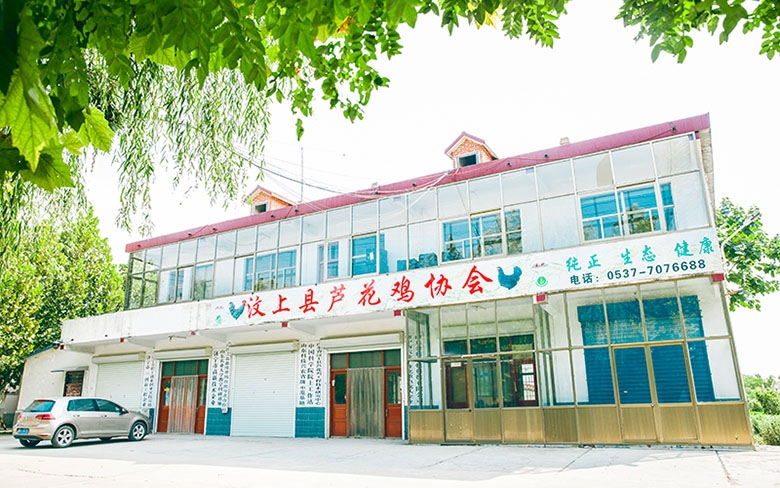 汶上縣蘆花雞協會